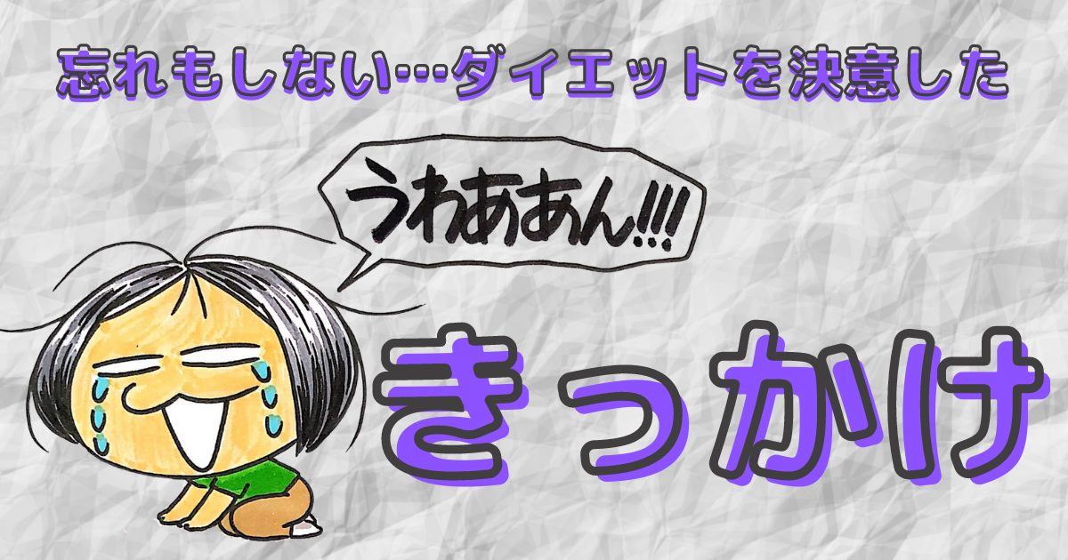 26kgダイエットのきっかけは あのフィルターが作動しなかったから 波乱珍丈 プカちゃんブログ